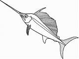 Fish Coloring Pages Cartoon sketch template
