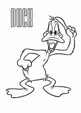 Duck Daffy Coloring Pages Netart Happy Bugs Show Search sketch template