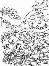 Panda Giant Coloring Pages Color Animals Animal Print Back sketch template