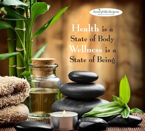 health   state   body wellness   state   wellness