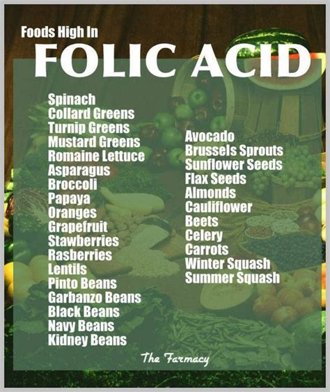 Foods Rich In Folic Acid For Pregnant Women My Xxx Hot Girl
