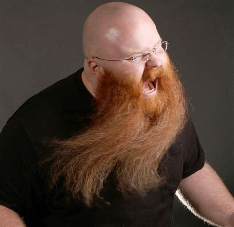 52 best bald and bearded images on pinterest man with beard moustaches and beard styles