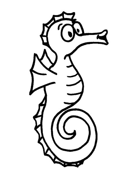 seahorse coloring page clipart