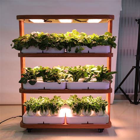 hydroponic greenhouse growing system  home