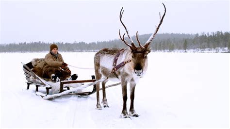 magical finland sleigh ride reindeer family   bbc earth youtube