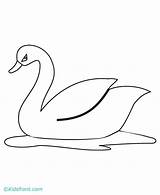 Swan Drawing Coloring Pages Simple Drawings Easy Book Cute Kids Baby Google Print Nl Animals Sketches Template Animal Penguin Hens sketch template