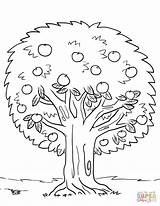 Tree Coloring Apple Pages Drawing Spring Trees Printable Kids Puzzle sketch template