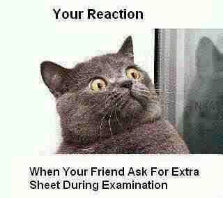 reaction   friend   extra sheets  examination