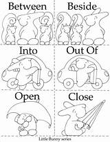 Opposites Coloring Pages Printable Printables Positional Little Worksheets Preschool Bunny Color Series Getdrawings Getcolorings sketch template