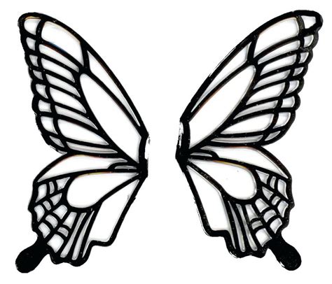 butterfly outline image    clipartmag