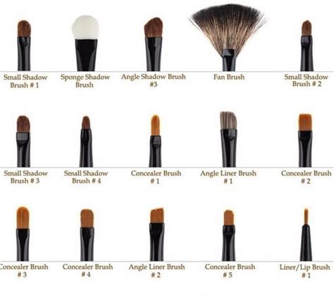 professional makeup brushes guide the best makeup brush list for