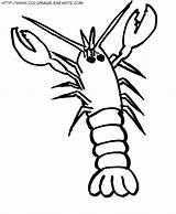 Coloring Lobster Dibujos Crawfish Print Pages Printable Kids Color Coloriage Développement Application Mobile Getdrawings Drawing sketch template