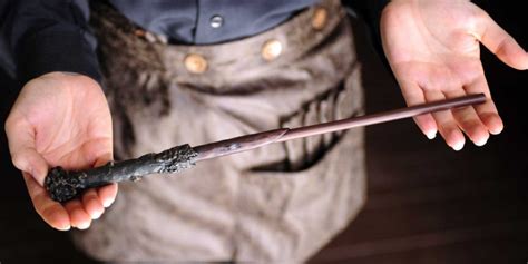 5 Most Powerful Wands In The Harry Potter World Quirkybyte