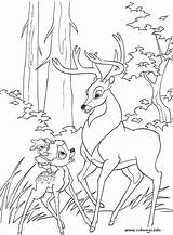 Bambi sketch template