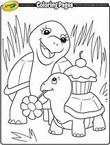 Crayola Turtle Mothers Tartaruga Mamma Figlia Getcolorings Tartarugas Riscos Decorados Molde Fofos Cadernos Olhos sketch template