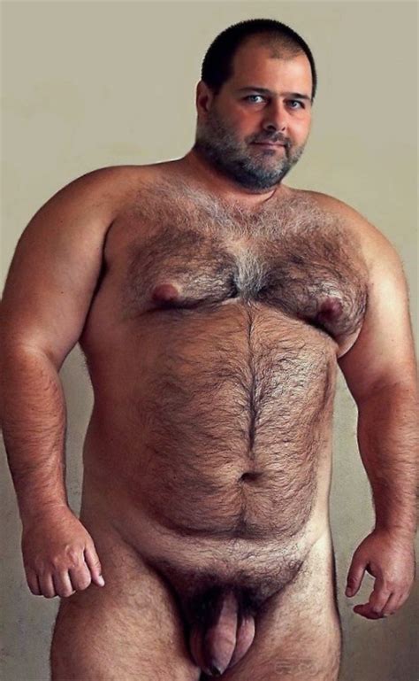 Gay bear wresseling