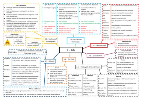 Cells Revision Mind Map Aqa As A Level Biology 7401 7402 Teaching