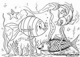 Fish Coloring Pages Lots Kids Octopus sketch template