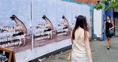 1 500 posters of goats having sex promote a sustainable cashmere brand