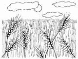 Draw Wheat Fields Drawing Crops Drawings Easy Howstuffworks Simple Steps Grain Step Paintingvalley Tlc Landscapes Landscape Explore sketch template