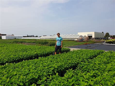 stolwijk plants breidt uit hortipoint