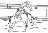 Coloring Rodeo Riding Bronc Pages Roping Calf Printable Drawing Cowboy Paper sketch template
