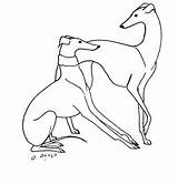 Greyhound Whippet Tattoo Windhund Zeichnen Windhunde Zeichnungen Podenco Minimalistische Whippets Perro Lurcher Hunde Porzellanmalerei Niedliche Italian Gemälde Tatze Steine Tierbilder sketch template