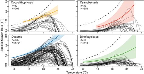 thermal reaction norms for each phytoplankton functional type modeled