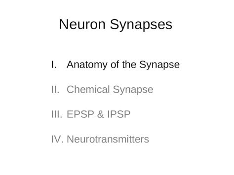 neuron synapses ianatomy   synapse iichemical synapse iiiepsp ipsp iv