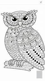 Owl Mandala Mandalas sketch template