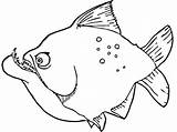 Coloring Pages Piranha Piranhas Color Popular Fish Designlooter Library Clipart Printable Recommended sketch template