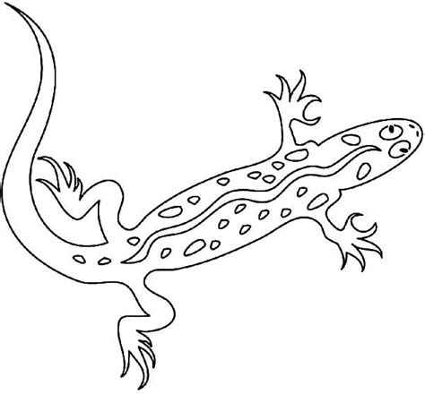dangerous animal lizard coloring pages  print