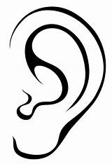 Ear Clipart Piercing Clipground sketch template