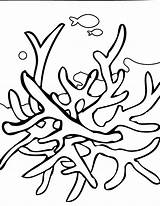 Coral Reef Coloring Pages Kids Color Print sketch template