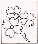 Dogwood Drawing Svg Flowers Etsy Flower Coloring Tree Pages Blossom Carving Clipartmag Cricut  sketch template