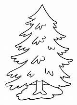 Pine Trees Tree Coloring Pages Printable Pencil Getdrawings Drawing sketch template