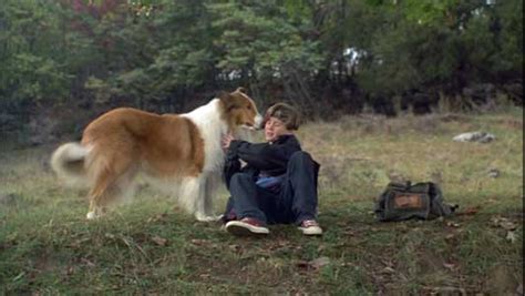 Lassie 1994 Movie