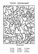 Herfst Cijferkleurplaat Kinderen Sommen Knutselen sketch template
