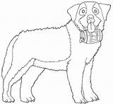 Bernardo Perros Perro Colorir Razas Desenhos Cachorros Animales Patas Visitar Publicada sketch template