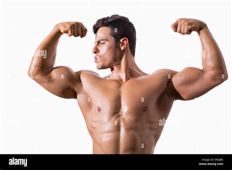 muscular young male body  res stock photography  images alamy