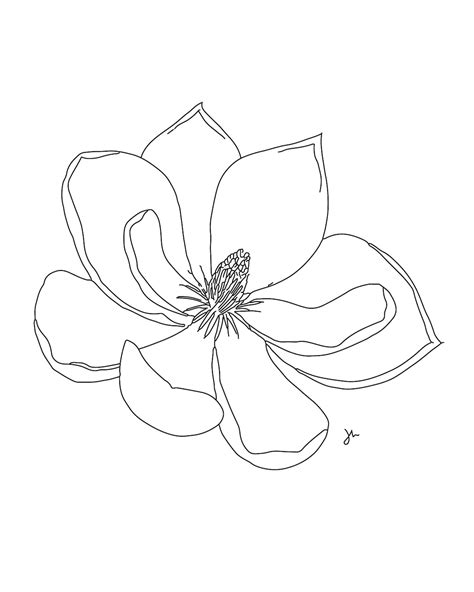 magnolia flower print louisiana state flower digital  etsy