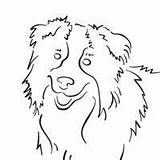 Border Coloring Collie Pages Collies Surfnetkids Dog Australian Color Printable Shepherd Drawing Cute Drawings Dogs Simple Sheep Choose Board sketch template