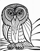 Coloring Pages Bird Owl Printable Birds Owls Kids Book Barn Print Hard Printables House Colouring Cliparts School Toucam Peacock Simple sketch template
