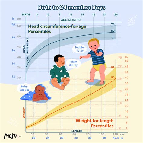 growth charts understanding height  weight percentiles momcom
