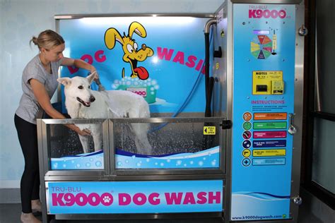 australian maker  diy dog washing stations launches  operations