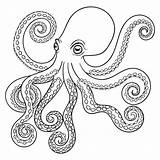 Octopus Tribal Polipo Poulpe Totem Zentangle Ausmalbild Riesenkalmar Pulpo Coloritura Kleurende Dierlijke Volwassen Getrokken Adulte Adulta Animale Disegnato Tribale Coloration sketch template