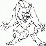 Lobo Colorear Werewolf Lobisomem Wolves Werewolves Coloringhome sketch template