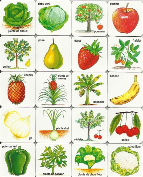 family crafts  recipes  printable summer game fruits