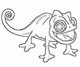 Chameleon Kameleon Pascal Camaleonte Kolorowanki Rapunzel Tangled Dzieci sketch template