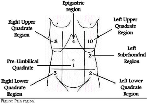 Sharp Pain Upper Left Abdomen Ovulation Symptoms
